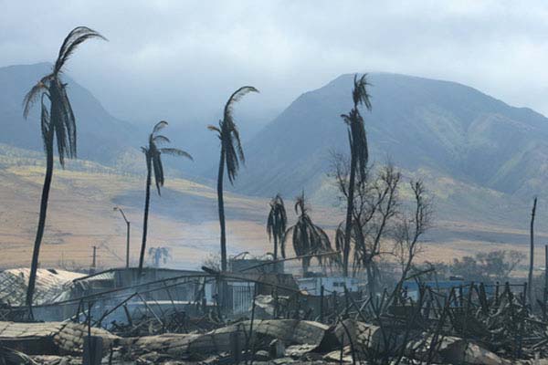 अमेरिका : हवाई में जंगल की आग से मरने वालों की संख्या बढ़कर 99 हुई