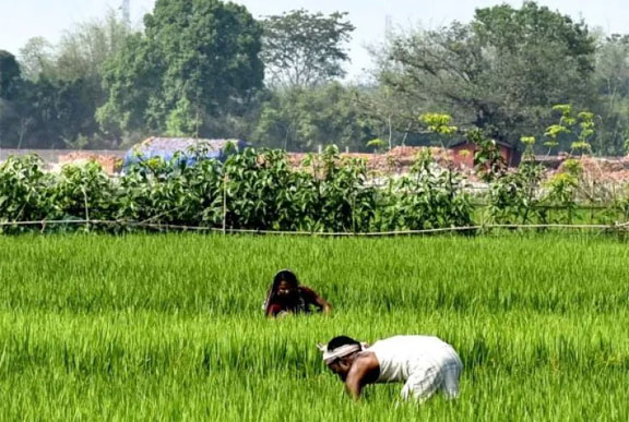 मध्य प्रदेश के किसानों के खातों में भेजी गई 2,600 करोड़ की राशि
