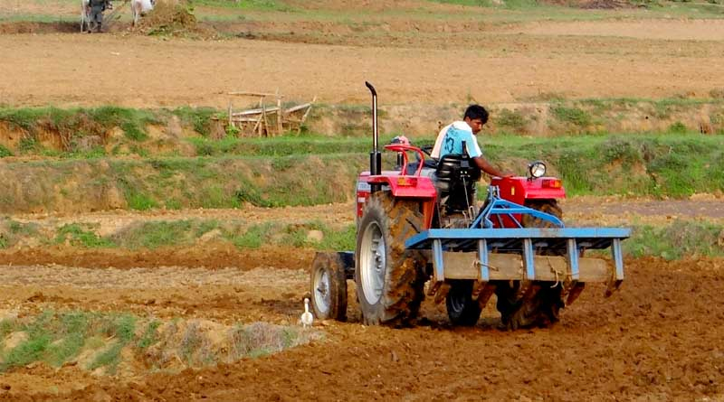 Madhya Pradesh: कृषि के क्षेत्र में मध्यप्रदेश स्थापित कर रहा है नये कीर्तिमान
