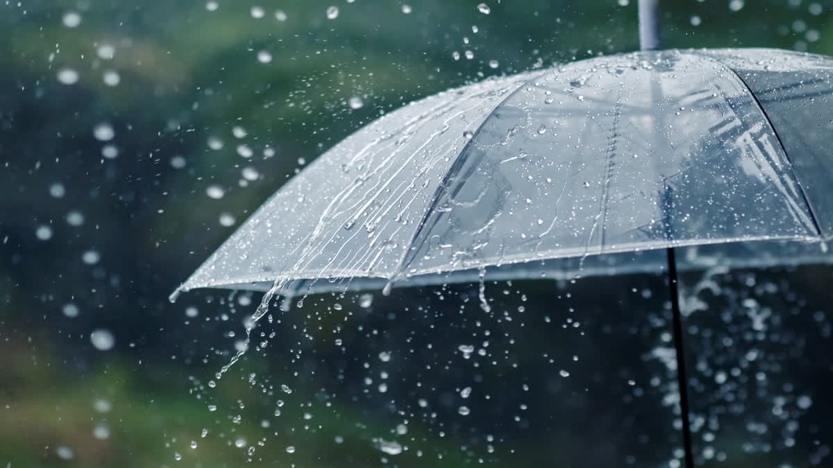 मध्य प्रदेश में अगले 4 दिन झमाझम बारिश, बंगाल की खाड़ी और उत्तर ओडिशा में जबरदस्त सिस्टम एक्टिव
